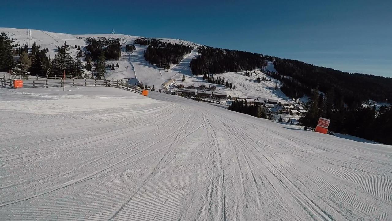 Jagdhuette Villa Lachtal Kültér fotó