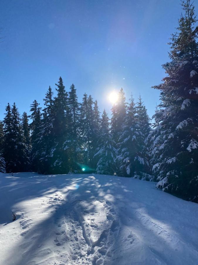 Jagdhuette Villa Lachtal Kültér fotó