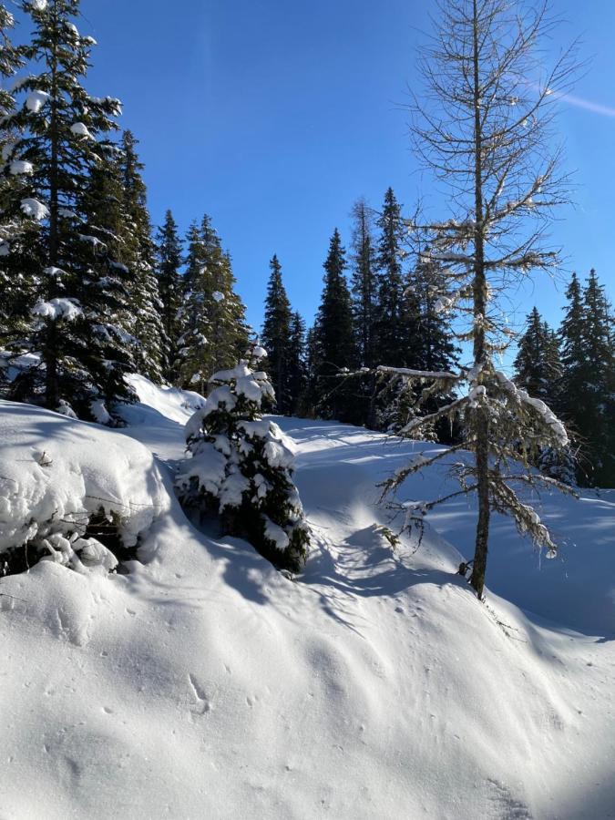 Jagdhuette Villa Lachtal Kültér fotó